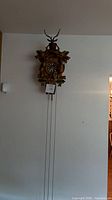 Front view of cuckoo clock hung on wall showing full length with chains
