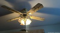 Ceiling fan illuminated showing brass housing, marbled white blades, glass shades