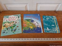 Front view of all three Usborne books aligned with ruler for scale