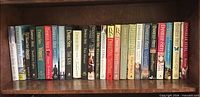 Full shelf of approximately 26 Danielle Steel hardcovers