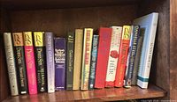 Full shelf view showing 18 hardcover novels