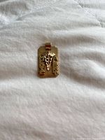 Front of gold medical alert pendant showing caduceus and text