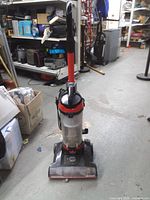 Front view of upright bagless vacuum showing brand label, dust canister and floor head