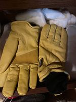 Yellow leather five-finger gloves with Endura tag visible