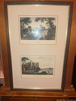 Full view of framed art showing two prints and overall frame condition