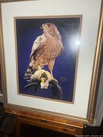 Framed hawk print full view