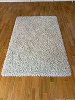 Full view of rectangular ivory shag rug on wooden floor