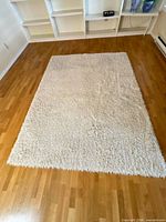 Full view of rectangular ivory shag rug on hardwood floor