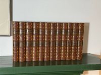 Full row of 17 uniform leather-spined volumes