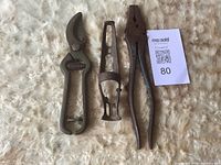 All three tools laid out: secateurs, pliers, whip holder