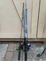 All three rods standing against shed
