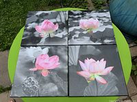 All four lotus flower canvas prints on green table