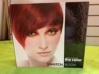 Front cover of Paul Mitchell the color swatch book