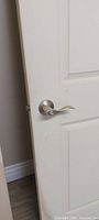Door showing front face with lever handle and panel detail