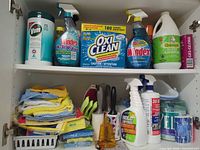 Cabinet interior showing cleaners, cloths, sponges, brushes