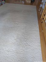 Full view of cream rectangular rug on hardwood floor