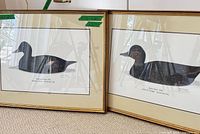 Both framed Robert Jackson duck prints side by side