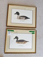 Both framed duck prints full view