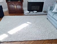 Full view of rectangular white-cream shag rug placed in living room