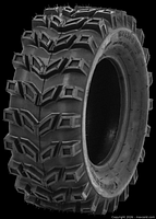 Perspective view of tire showing tread design and sidewall