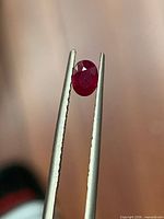 Front view of the oval ruby held by tweezers