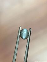 Oval cabochon alexandrite cat’s eye held in tweezers, showing sharp chatoyancy