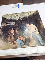 Front cover of Steppenwolf Monster LP showing title and wear