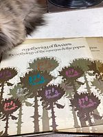 Front of album sleeve showing artwork and title