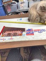 Full view of pennant with measuring tape and pet partially visible
