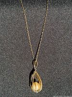 Full view of chain with cage pendant against dark background