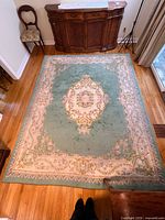 Full view of rug showing overall pattern and color