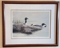 Framed limited edition loon print overall view