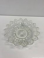 top view showing petal rim and starburst center