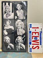 Full view of poster and license plate together