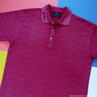 Front view of maroon Emporio Armani polo displaying overall logo pattern and placket