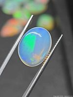 Oval Ethiopian opal held by tweezers showing play-of-colour