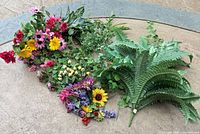 Entire lot showing assorted greenery and florals on floor