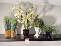 Full view of all five artificial plants on shelf