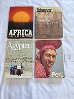 Front covers of all four books laid out