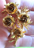 Front view showing four textured rose heads and leaves