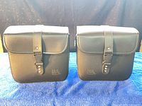 Front view of both saddlebags standing upright