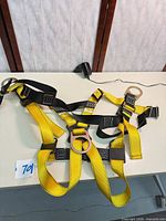 Harness laid flat showing overall structure, straps and rings