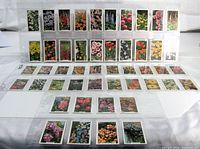All 48 Garden Flowers cards in plastic sleeve pages