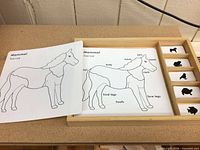 overview of tray with horse boards and silhouette tiles
