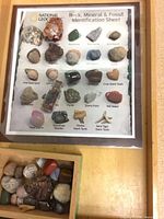 Identification sheet showing labelled rock, mineral and fossil examples