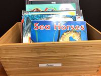 Box of children’s ocean books showing titles like Sea Horses
