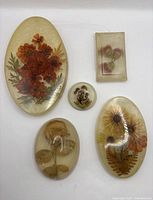 All five resin paperweights laid out