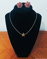 Full view of necklace and earrings on display bust