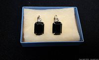 front view of earrings in box