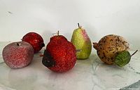 All six beaded fruits front view